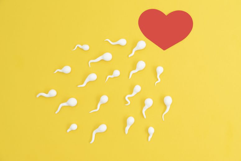 Spermiogram
